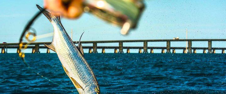 Best Places For Adventure Fishing in Florida