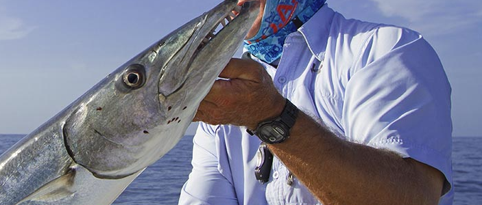 Most Popular Fish to Catch off the Coast of Florida