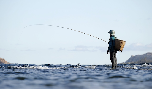 Similarities between Fishing and Digital Marketing – Closer Than You Might Think